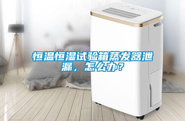 恒温恒湿试验箱蒸发器泄漏，怎么办？