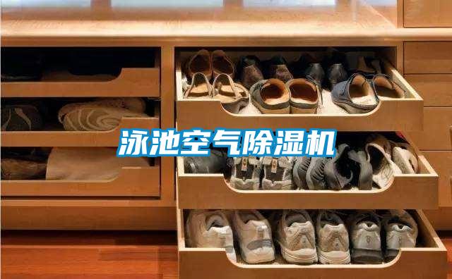 泳池空气粉色视频免费在线观看