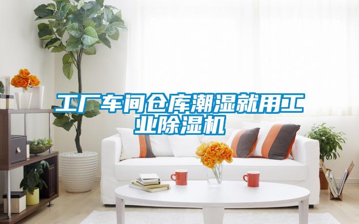 工厂车间仓库潮湿就用工业粉色视频免费在线观看