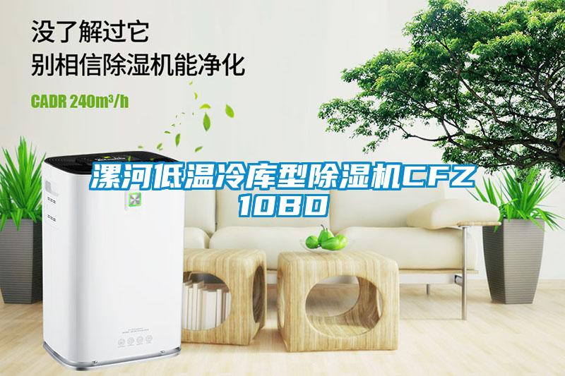 漯河低温冷库型粉色视频免费在线观看CFZ10BD