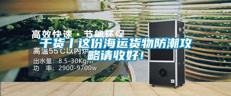 干货丨这份海运货物防潮攻略请收好！