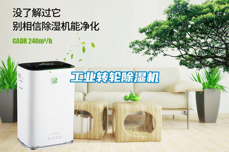 工业转轮粉色视频免费在线观看