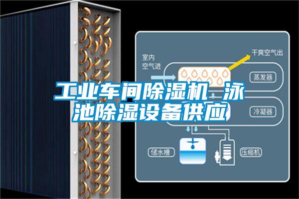 工业车间粉色视频免费在线观看 泳池除湿设备供应