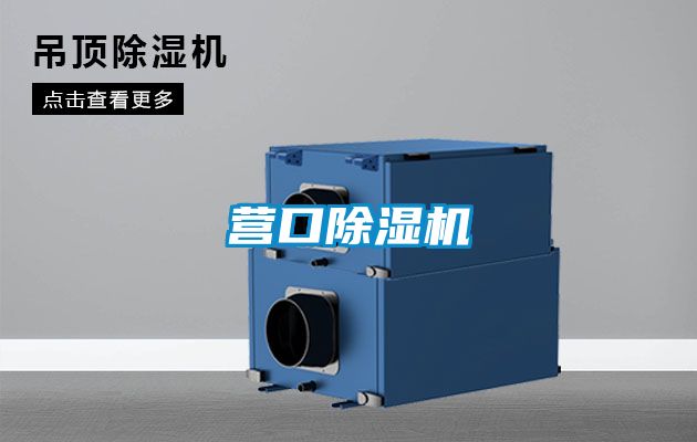 营口粉色视频免费在线观看