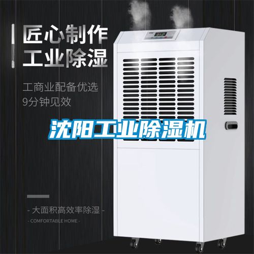 沈阳工业粉色视频免费在线观看