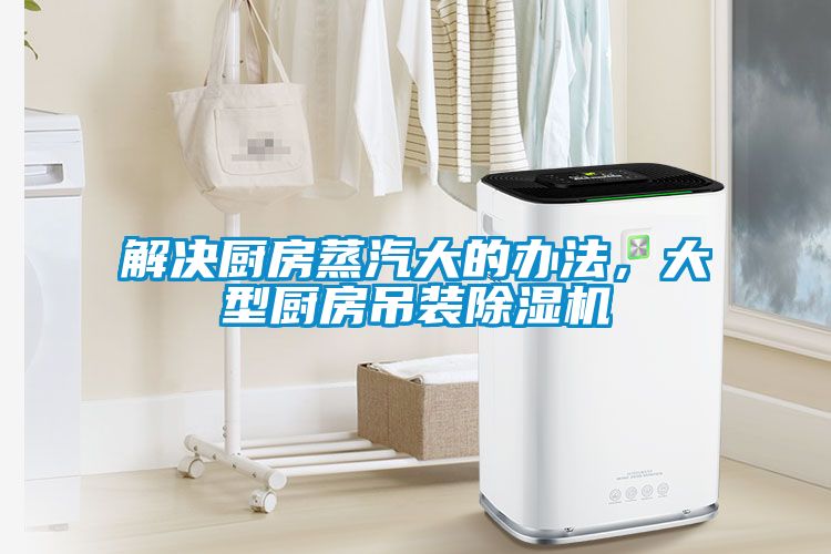 解决厨房蒸汽大的办法，大型厨房吊装粉色视频免费在线观看