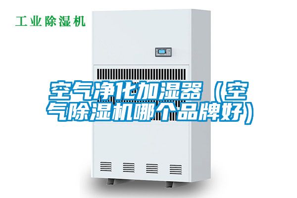 空气净化加湿器（空气粉色视频免费在线观看哪个品牌好）