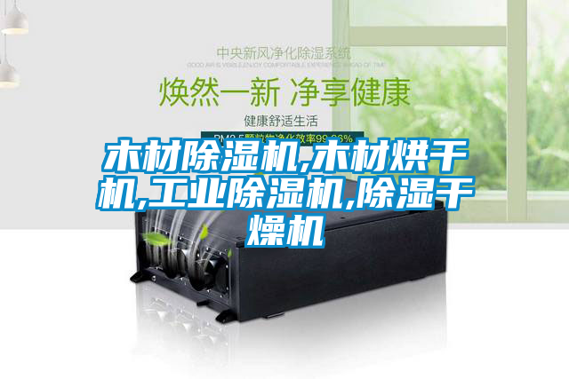 木材粉色视频免费在线观看,木材烘干机,工业粉色视频免费在线观看,除湿干燥机
