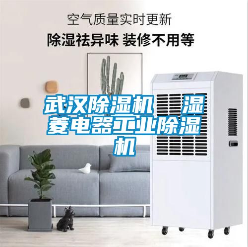 武汉粉色视频免费在线观看  湿菱电器工业粉色视频免费在线观看
