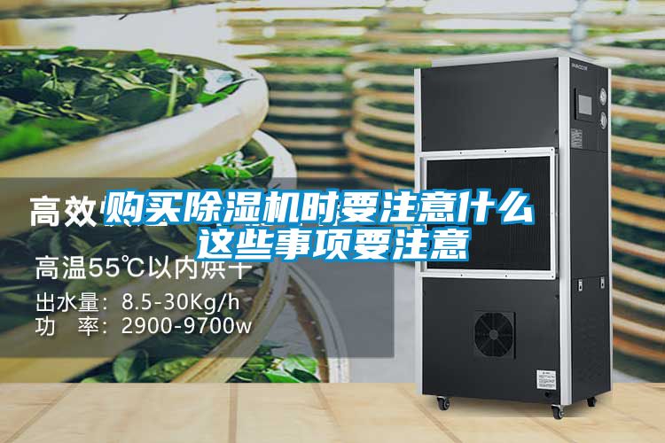 购买粉色视频免费在线观看时要注意什么 这些事项要注意