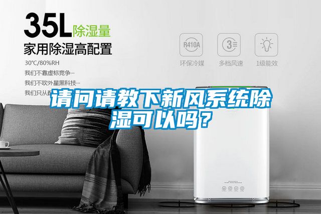 请问请教下新风系统除湿可以吗？