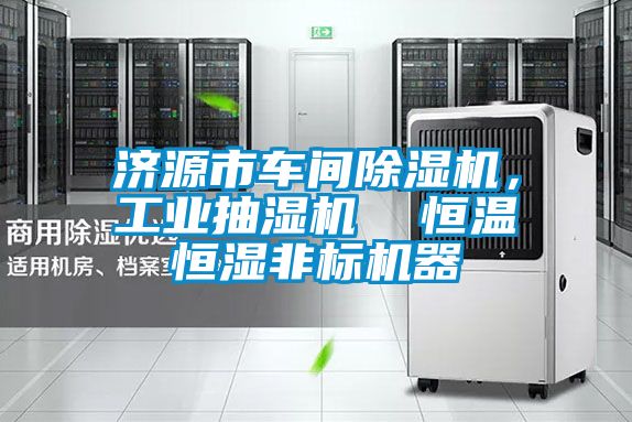济源市车间粉色视频免费在线观看，工业抽湿机  恒温恒湿非标机器