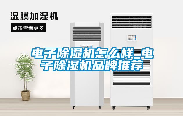 电子粉色视频免费在线观看怎么样_电子粉色视频免费在线观看品牌推荐