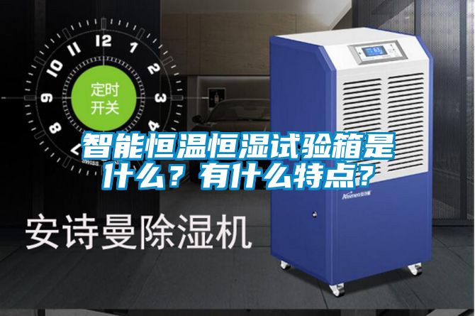 智能恒温恒湿试验箱是什么？有什么特点？