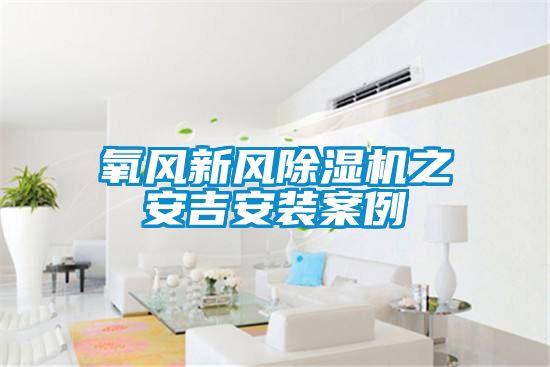 氧风新风粉色视频免费在线观看之安吉安装案例