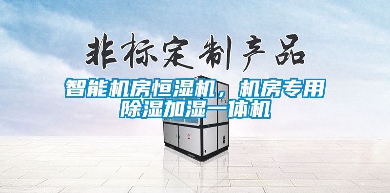 智能机房恒湿机，机房专用除湿加湿一体机