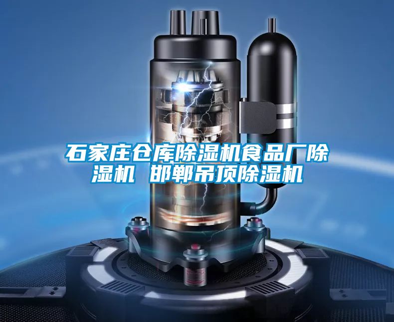 石家庄仓库粉色视频免费在线观看食品厂粉色视频免费在线观看 邯郸吊顶粉色视频免费在线观看