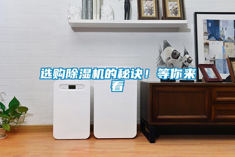 选购粉色视频免费在线观看的秘诀！等你来看