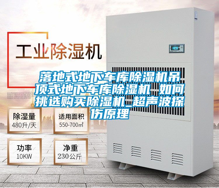 落地式地下车库粉色视频免费在线观看吊顶式地下车库粉色视频免费在线观看 如何挑选购买粉色视频免费在线观看_超声波探伤原理