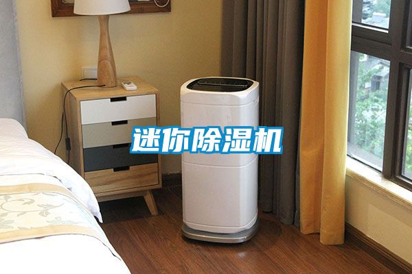 迷你粉色视频免费在线观看