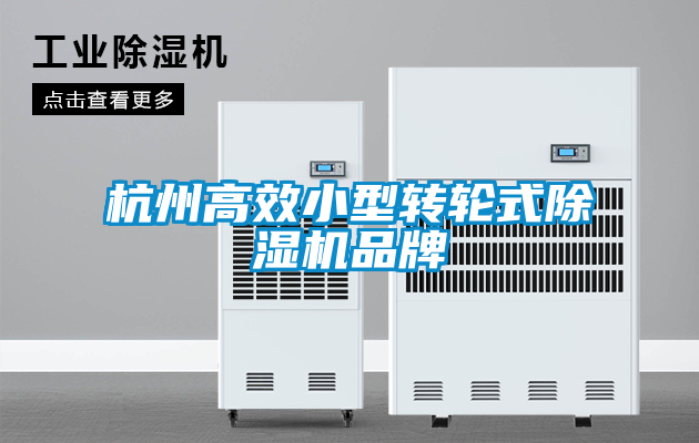 杭州高效小型转轮式粉色视频免费在线观看品牌