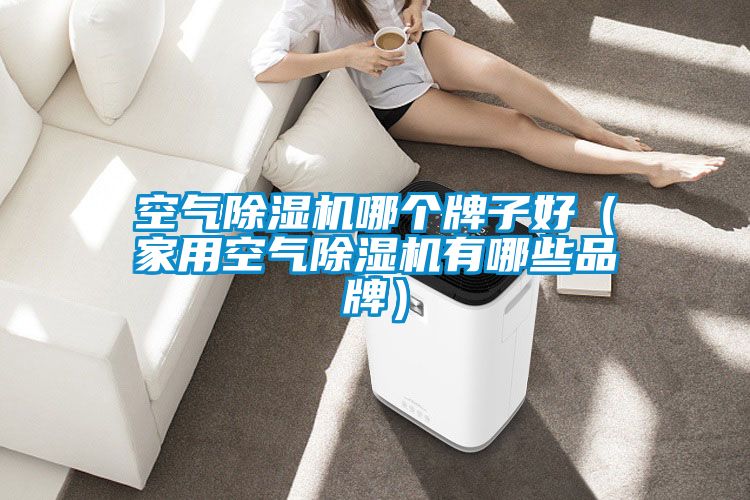 空气粉色视频免费在线观看哪个牌子好（家用空气粉色视频免费在线观看有哪些品牌）