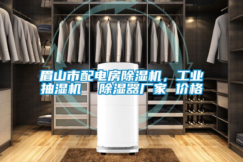 眉山市配电房粉色视频免费在线观看，工业抽湿机  除湿器厂家 价格