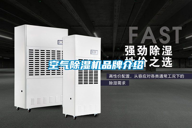 空气粉色视频免费在线观看品牌介绍