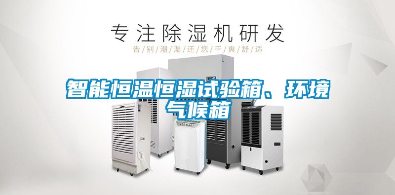 智能恒温恒湿试验箱、环境气候箱