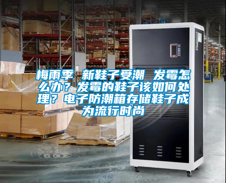 梅雨季 新鞋子受潮 发霉怎么办？发霉的鞋子该如何处理？电子防潮箱存储鞋子成为流行时尚