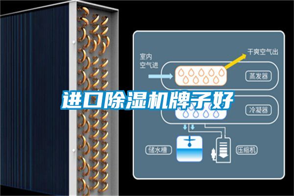 进口粉色视频免费在线观看牌子好