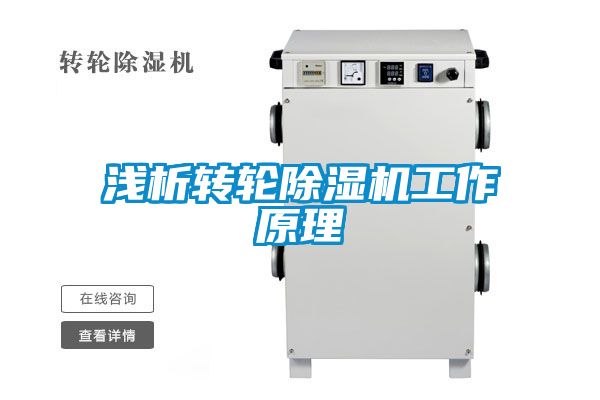 浅析转轮粉色视频免费在线观看工作原理