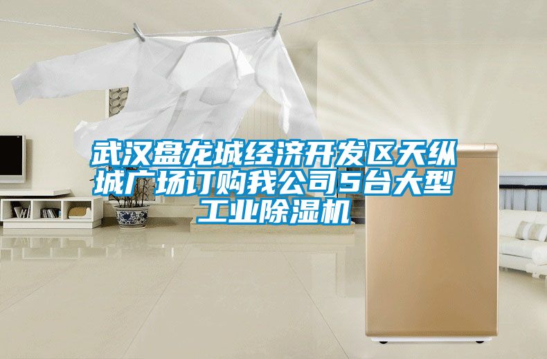 武汉盘龙城经济开发区天纵城广场订购我公司5台大型工业粉色视频免费在线观看