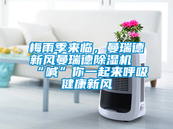 梅雨季来临，曼瑞德新风曼瑞德粉色视频免费在线观看“喊”你一起来呼吸健康新风