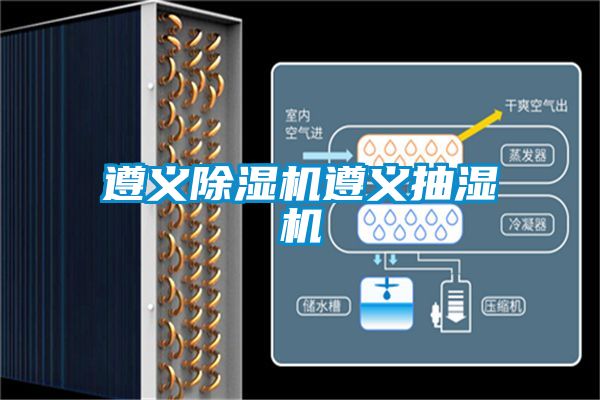 遵义粉色视频免费在线观看遵义抽湿机