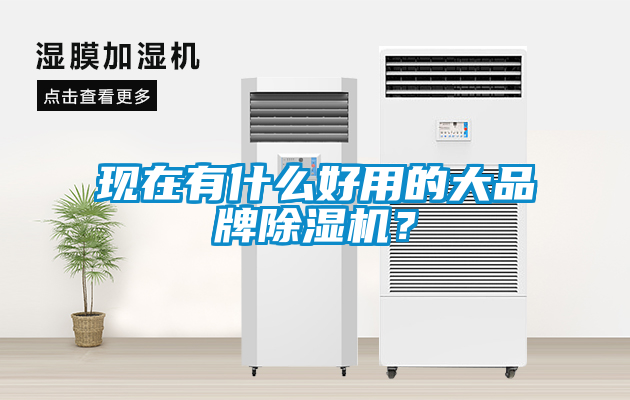 现在有什么好用的大品牌粉色视频免费在线观看？