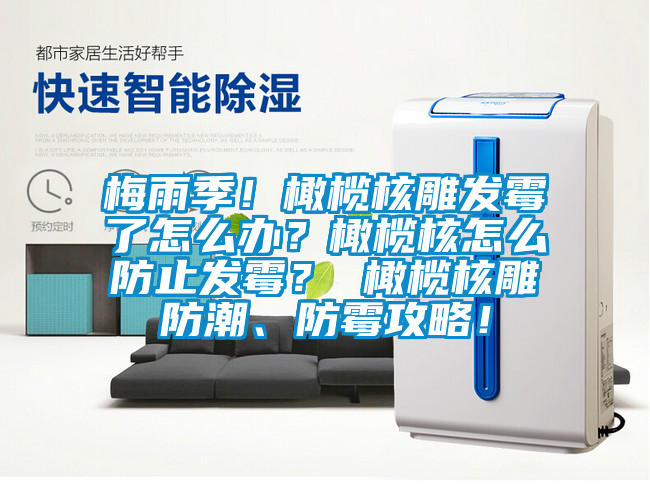 梅雨季！橄榄核雕发霉了怎么办？橄榄核怎么防止发霉？ 橄榄核雕防潮、防霉攻略！