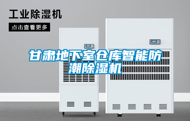 甘肃地下室仓库智能防潮粉色视频免费在线观看