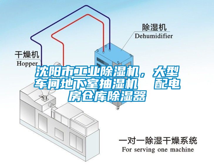 沈阳市工业粉色视频免费在线观看，大型车间地下室抽湿机  配电房仓库除湿器