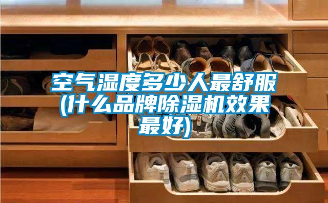 空气湿度多少人最舒服(什么品牌粉色视频免费在线观看效果最好)