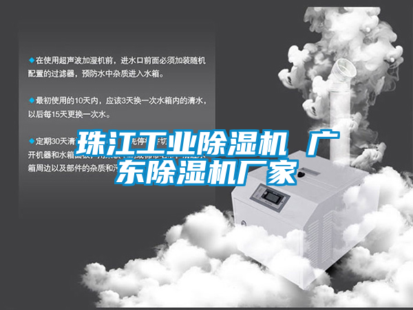 珠江工业粉色视频免费在线观看 广东粉色视频免费在线观看厂家