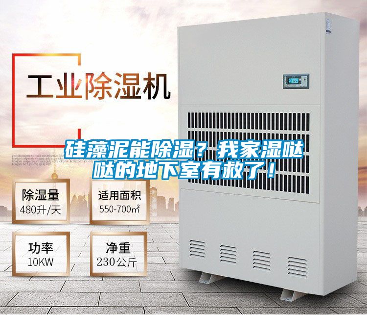 硅藻泥能除湿？我家湿哒哒的地下室有救了！