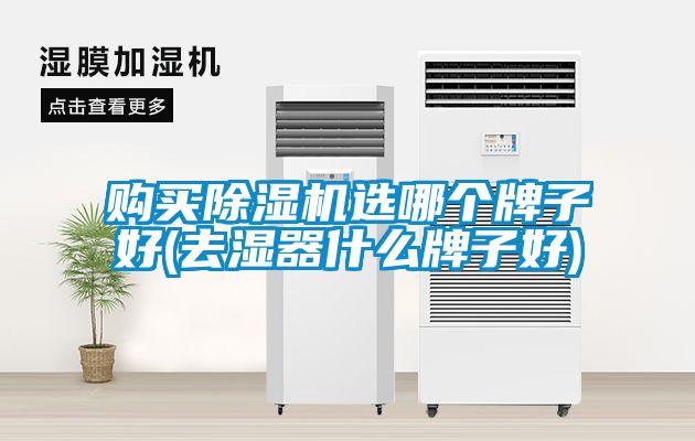 购买粉色视频免费在线观看选哪个牌子好(去湿器什么牌子好)