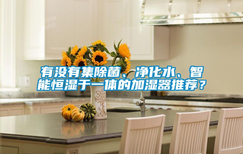 有没有集除菌、净化水、智能恒湿于一体的加湿器推荐？