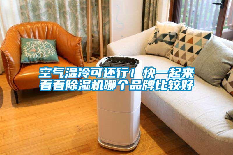 空气湿冷可还行！快一起来看看粉色视频免费在线观看哪个品牌比较好