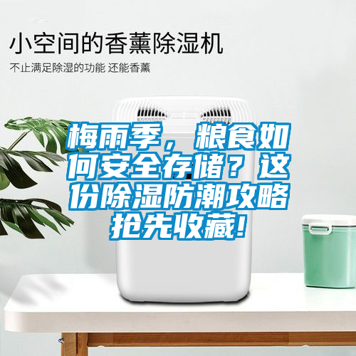 梅雨季，粮食如何安全存储？这份除湿防潮攻略抢先收藏!