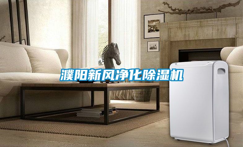 濮阳新风净化粉色视频免费在线观看
