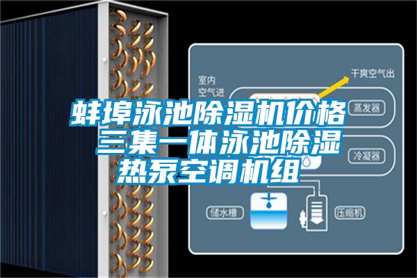 蚌埠泳池粉色视频免费在线观看价格 三集一体泳池除湿热泵空调机组