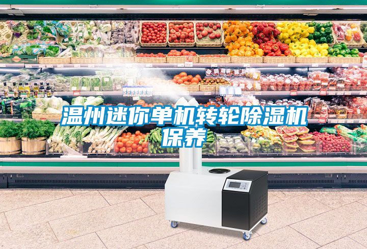 温州迷你单机转轮粉色视频免费在线观看保养