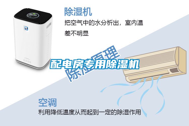 配电房专用粉色视频免费在线观看